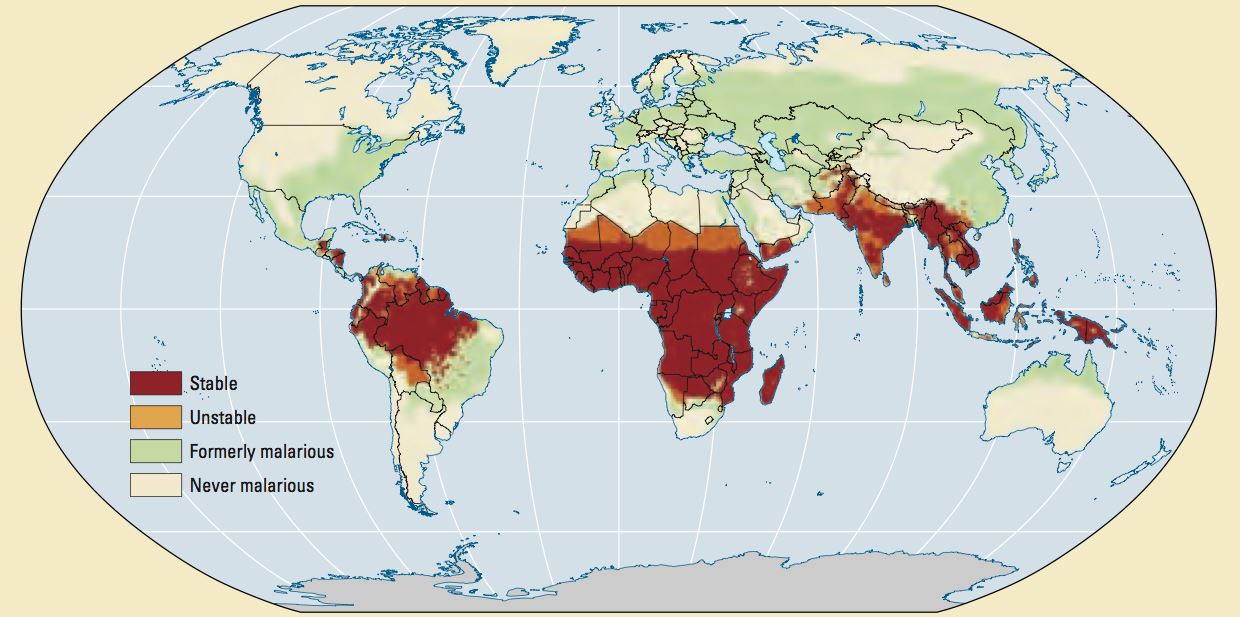 images my ideas 21/21 WC World-map-malaria-prevalence-report-2009.jpg